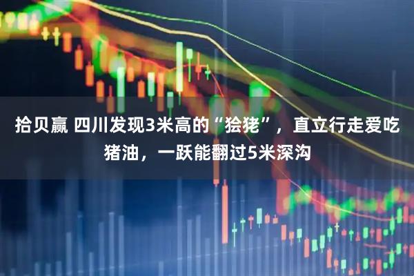 拾贝赢 四川发现3米高的“狯狫”，直立行走爱吃猪油，一跃能翻过5米深沟
