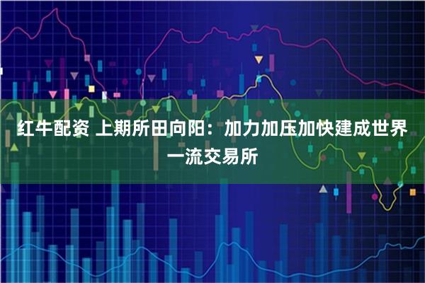 红牛配资 上期所田向阳：加力加压加快建成世界一流交易所